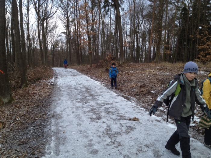 2016-01-16 vylet_hneda 03